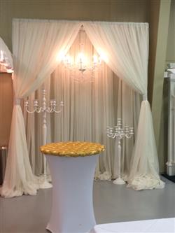 Backdrop 8'-14'T 6'-10'W